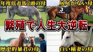 【競馬】繁殖牝馬として大成功をおさめた馬たち【8選】 [upl. by Antonie]