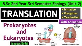 Translation in Prokaryotes and Eukaryotes  Initiation Elongation and Termination of Translation [upl. by Eilyw]