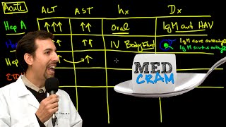 Liver Diseases Explained Clearly Acute vs Chronic Hepatic Diseases [upl. by Dasha]