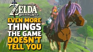 Even More Things I Wish I Knew Before I Started Zelda Breath of the Wild [upl. by Correy]