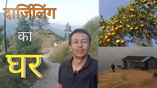 दार्जिलिंग का गांव और सुनता बागानVillage lifeDarjeeling Village lifestylepahadi lifestyle [upl. by Netram]