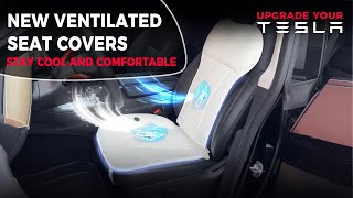 Upgrade Your Tesla with This New Ventilated Seat Covers Stay Cool and Comfortable [upl. by Araed]