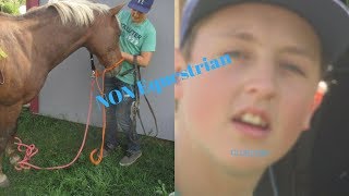 Most Hilarious NonEquestrian Tacks up My Horse Video My Cousin is CLUELESS [upl. by Llebana]