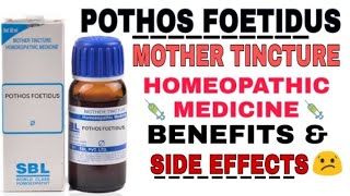 POTHOS FOETIDUS MOTHER TINCTURE HOMEOPATHIC MEDICINE BENEFITS amp SIDE EFFECTS [upl. by Nnovahs]