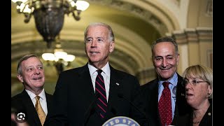 Democrat Senators accused of proposing legislation to REPLACE BIack Americans with MlGRANTS [upl. by Reamy387]