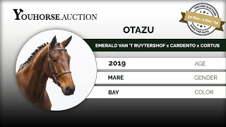 Otazu IN THE ‘WINTER EDITION” YOUHORSEAUCTION UNDER THE SADDLE NOVEMBER 30  DECEMBER 3 [upl. by Seta736]