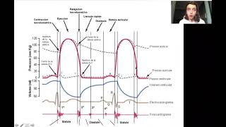 CICLO CARDIACO Perrotta Villacorta María Pilar LU 41080 [upl. by Nosremaj]