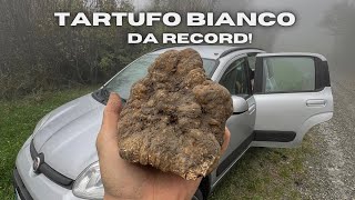 TARTUFO BIANCO da RECORD Quanto VALE e DOVE sarà stato trovato [upl. by Blondy132]