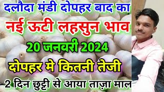 दलौदा मंदी दोपहर बाद का नई लहसुन का भाव 20 जनवरी 2024 new ooty garlic daloda mandi nai lahsun bhav [upl. by Yanrahc914]