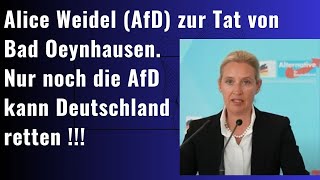 Dr Alice Weidel zur Tat von Bad Oeynhausen [upl. by Tillfourd]