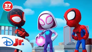 MARVEL SPIDEY Y SU SUPEREQUIPO Los mejores momentos de Spidey y su superequipo 🕷️  DisneyJuniorES [upl. by Daisey]