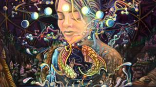 Cristas Icaros  Ayahuasca song 7 [upl. by Brien990]