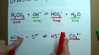 Identify Conjugate Acid Base Pairs Bronsted Lowry [upl. by Legnaleugim]