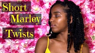 Short Marley Twists For Beginners [upl. by Peder]