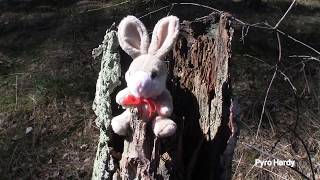 OSTERHASE MIT ZÜNDSCHNUR  HAPPY EASTER BOOM [upl. by Suiramed]