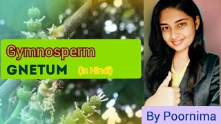 GnetumLife CycleGymnospermBy Poornima [upl. by Llahsram]