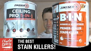 How to Paint over Ceiling and Wall Stains [upl. by Anair]