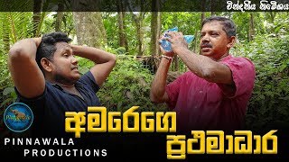 අමරෙගෙ ප්‍රථමාධාර  Amarege Prathamadhara Pinnawala Production [upl. by Etat146]