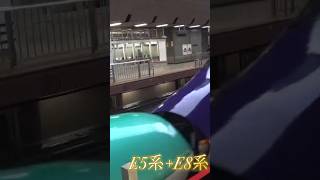 E5系とE8系 豆鉄 電車 train 鉄道 jr東日本 新幹線 つばさ やまびこ e5系 e8系 [upl. by Kerwin]