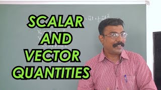 Scalar And Vector Quantities [upl. by Meece835]