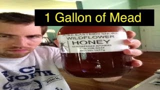 Easy 1 gallon Mead [upl. by Waltner]