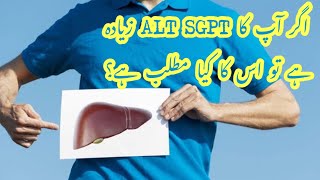 What does it mean if your ALT SGPT is high  اگر آپ کا ALT SGPT زیادہ ہے تو اس کا کیا مطلب ہے؟ [upl. by Eelinnej]