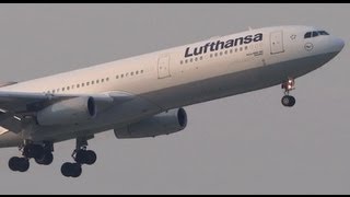 Lufthansa Airlines Airbus A340 Takeoff 14L  Chicago OHare International Airport Plane Spotting [upl. by Nabetse271]