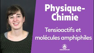 Tensioactifs et molécules amphiphiles  PhysiqueChimie  1re  Les Bons Profs [upl. by Nicolle]