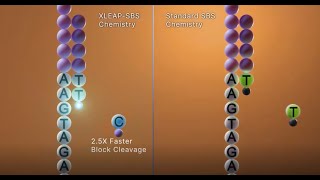 XLEAP SBS™ chemistry on NextSeq™ 1000 amp 2000 [upl. by Obau]