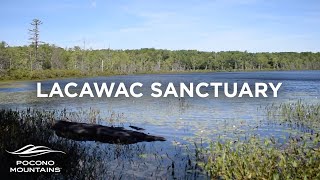 Lacawac Sanctuary  Pocono Mountains [upl. by Weisler]