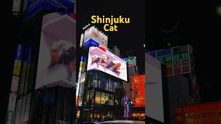 Tokyo 3D cat billboard travel tokyo shinjuku [upl. by Eelrebma]