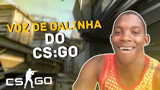 VOZ DE GALINHA DO CSGO [upl. by Tamaru]