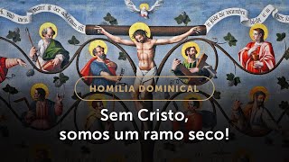 Homilia Dominical  Como seremos os ramos da videira de Cristo 5º Domingo da Páscoa [upl. by Onin]