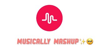 MUSICALLY MASHUP ☀️ [upl. by Emya113]