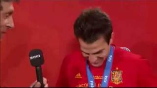 Cesc Fabregas interview after Spain win the World Cup for the first time Spain 1 Holland 0 [upl. by Sudnak]