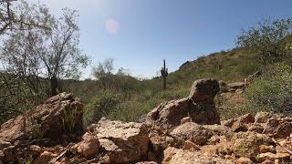 Arizona Desert Ambiance 1 Hour Remote Desert Canyon For Relaxation sleep meditation NOT AI [upl. by Reehsab91]