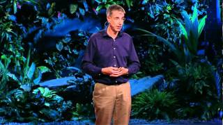 Daniel Wolpert The real reason for brains [upl. by Nnek]