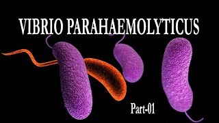 Vibrio parahaemolyticus Morphology Pathogenicity amp Its Control [upl. by Latsirk]