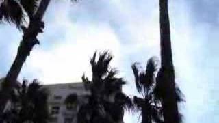 The Palms of the Hotel St Moritz  Miami Beach Florida [upl. by Lundberg]