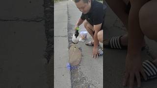 This Blue Liquid Fixes Potholes Without Cement 🤯 repair diy construction [upl. by Rowell852]