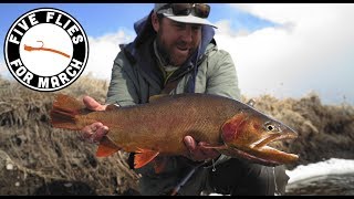 Five Flies for March 2019  Fly Fishing the Dream Stream [upl. by Inava]