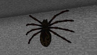 Minecraft  Cursed Images 21 Real Spiders [upl. by Housum826]