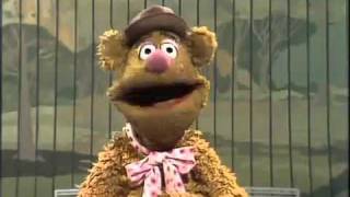 Fozzie Bear  Tuesday March 2 Joke [upl. by Pinto]