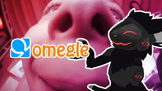 Protogen Furry Omegle Reactions [upl. by Karly]