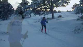 Snow cover and Nordic Skiing at Slochd 5th Feb 2009 [upl. by Auhsaj]