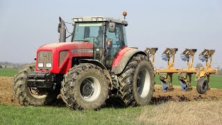 Massey Ferguson 8280  Moro Aratri PNT 16AV  DALLA BETTA [upl. by Aninaj]