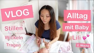 ALLTAG MIT BABY 2 WOCHEN ALT  STILLEN WICKELN TRAGEN  FAMILIEN VLOG  Mamiseelen [upl. by Almena278]