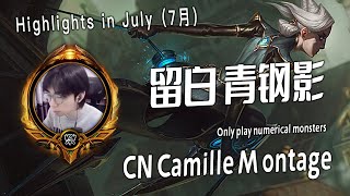 Liubai camille  6  Camille Montage 留白青钢影集锦  Chinese Best Camille Plays 2023 [upl. by Michaelina718]