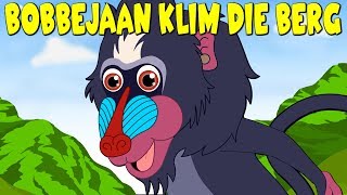 Bobbejaan Klim die Berg  Afrikaans Traditional Song for kids  Afrikaanse Kinderliedjies [upl. by Minsat489]