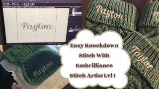 Easy Knockdown Stitch using Embrilliance Stitch Artist Lvl 1 [upl. by Albion]